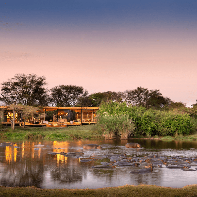 Thumbnail - Serengeti River Lodge National Park.png