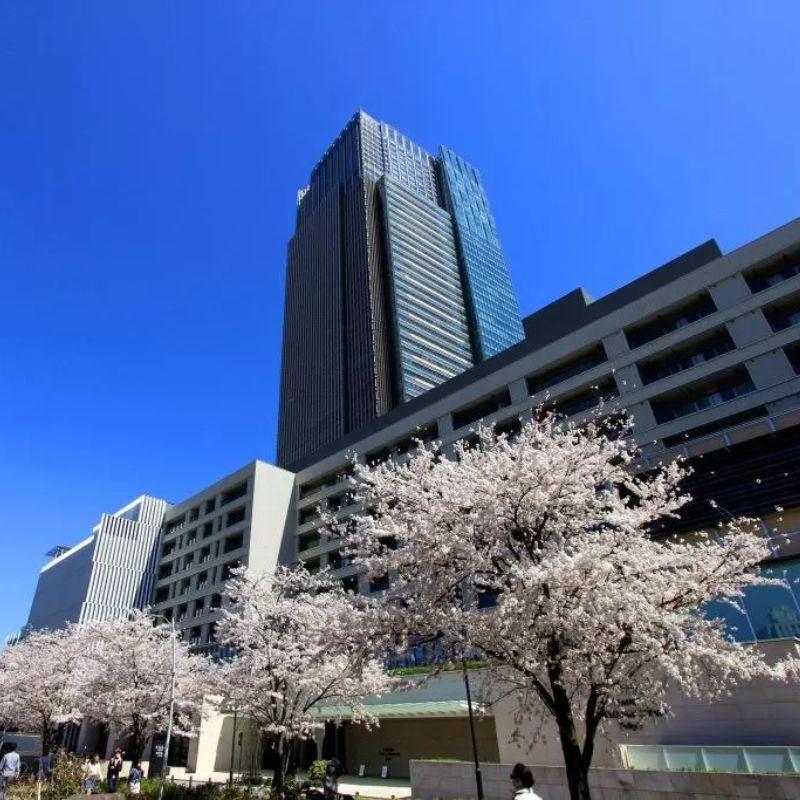 Thumbnail -The Ritz-Carlton Tokyo [800 x 800].jpg